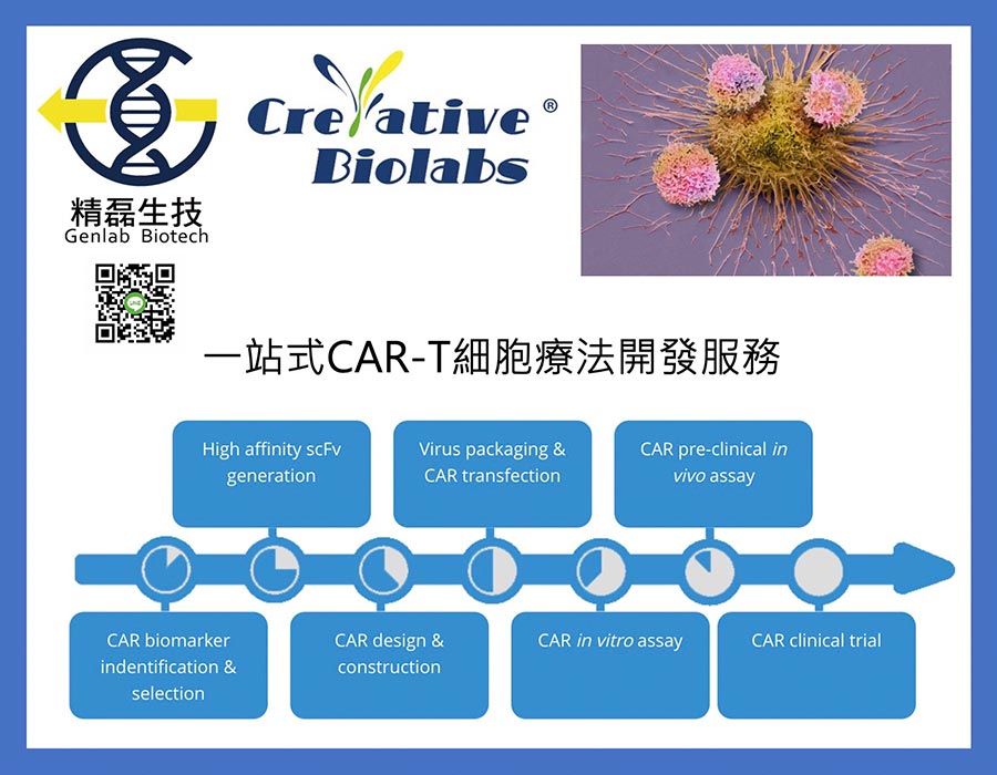 細胞免疫療法,再生醫療,技術服務,代工,Creative Biolabs,CAR-T,嵌合抗原受體T細胞